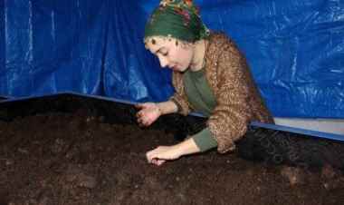 3 milyon solucanla gübre üreten çiftçi kadın