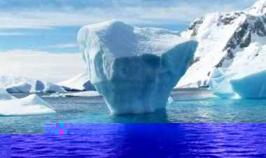 Bilim insanlarından korkutan açıklama! 50 yil içinde yok olacak