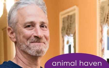 Jon Stewart Helps NYC Animal Shelter Raise $25K After Tearful Dog Tribute