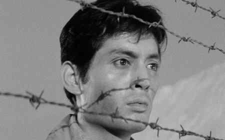 Delusion & Disillusion in The Human Condition